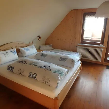 Appartamento Haus Fehrenbach