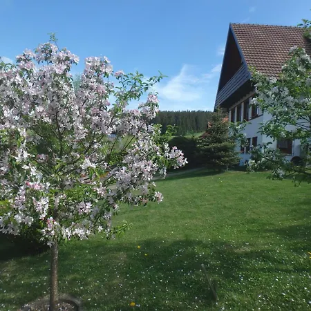 Apartman Haus Fehrenbach *