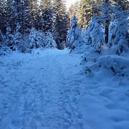 Haus Fehrenbach Appartamento *