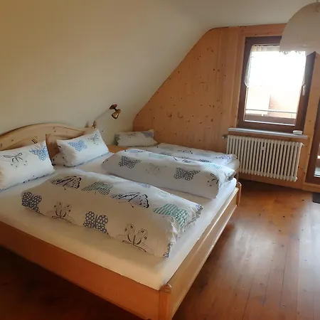 Daire Haus Fehrenbach *